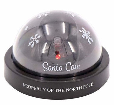 Santa Cam LED Light