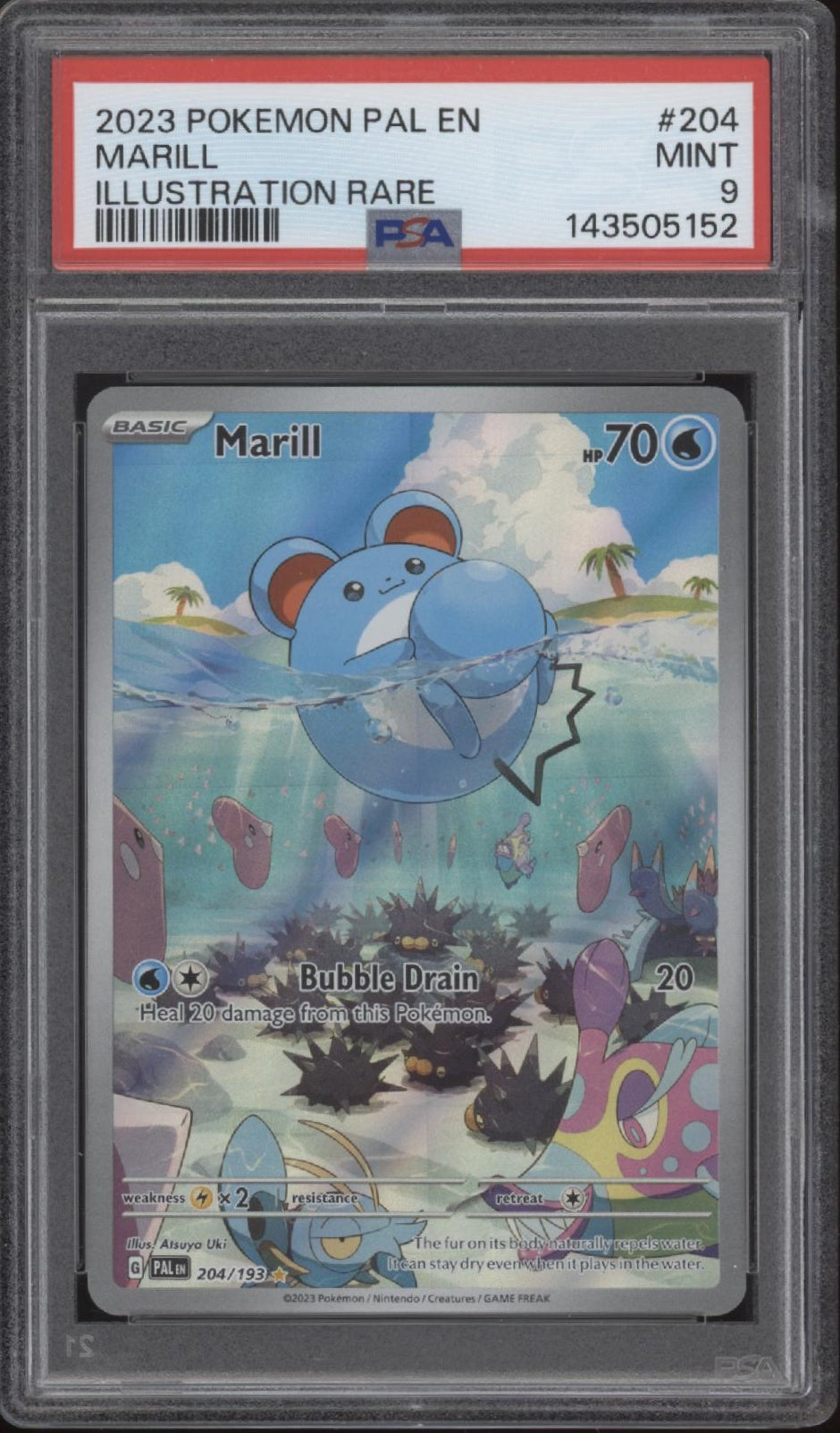 Marill Pokemon Paldea Evolved Illustration Rare #204 PSA 9