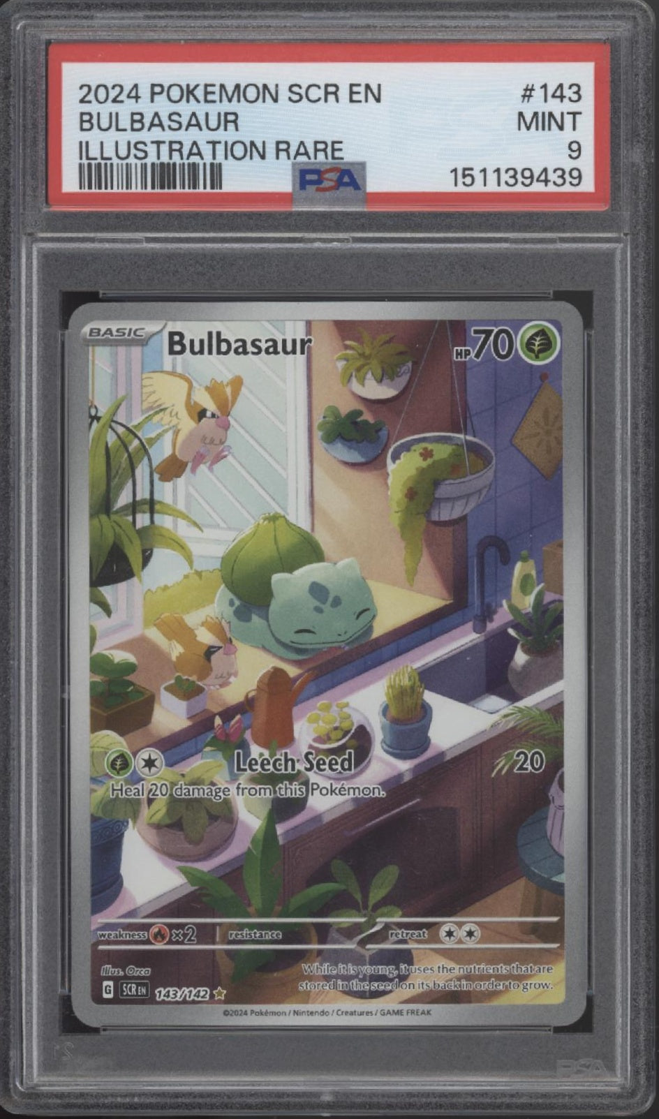 Bulbasaur Pokemon Stellar Crown Illustration Rare #143 PSA 9