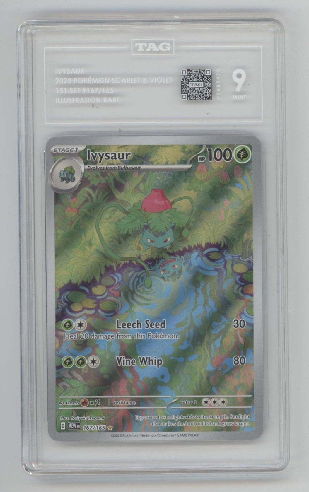 Ivysaur Pokemon 151 Illustration Rare #167 TAG 9