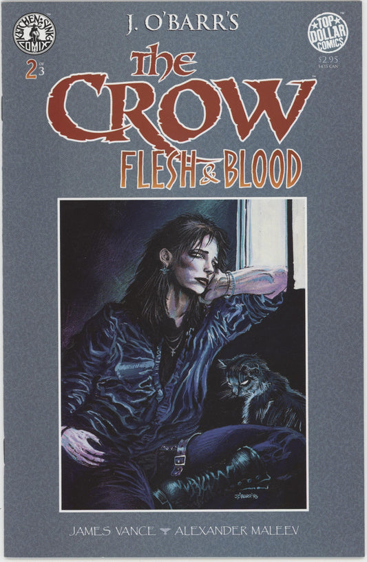 The Crow Flesh and Blood (1996) #2