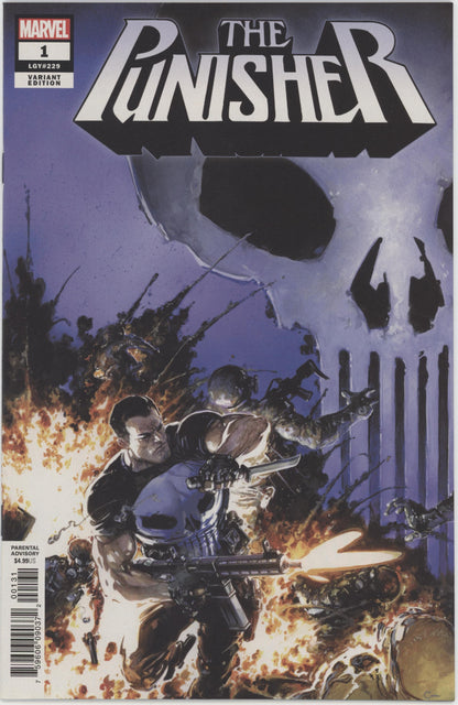 Punisher (2018 13th Series) #1B