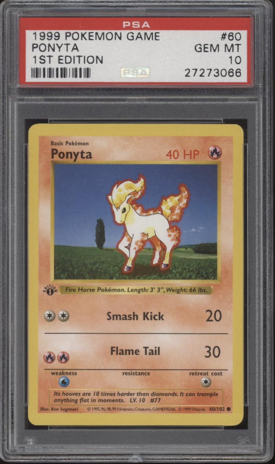 Ponyta Pokemon Base Set 1st Edition #60 PSA 10、Collector Store LLC Gaming、kayou