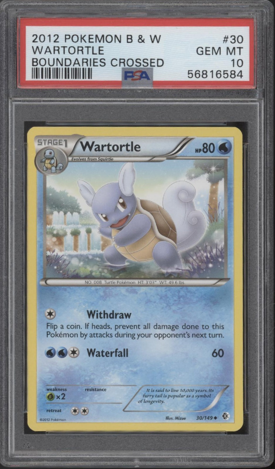 Wartortle Pokemon Boundaries Crossed #30 PSA 10