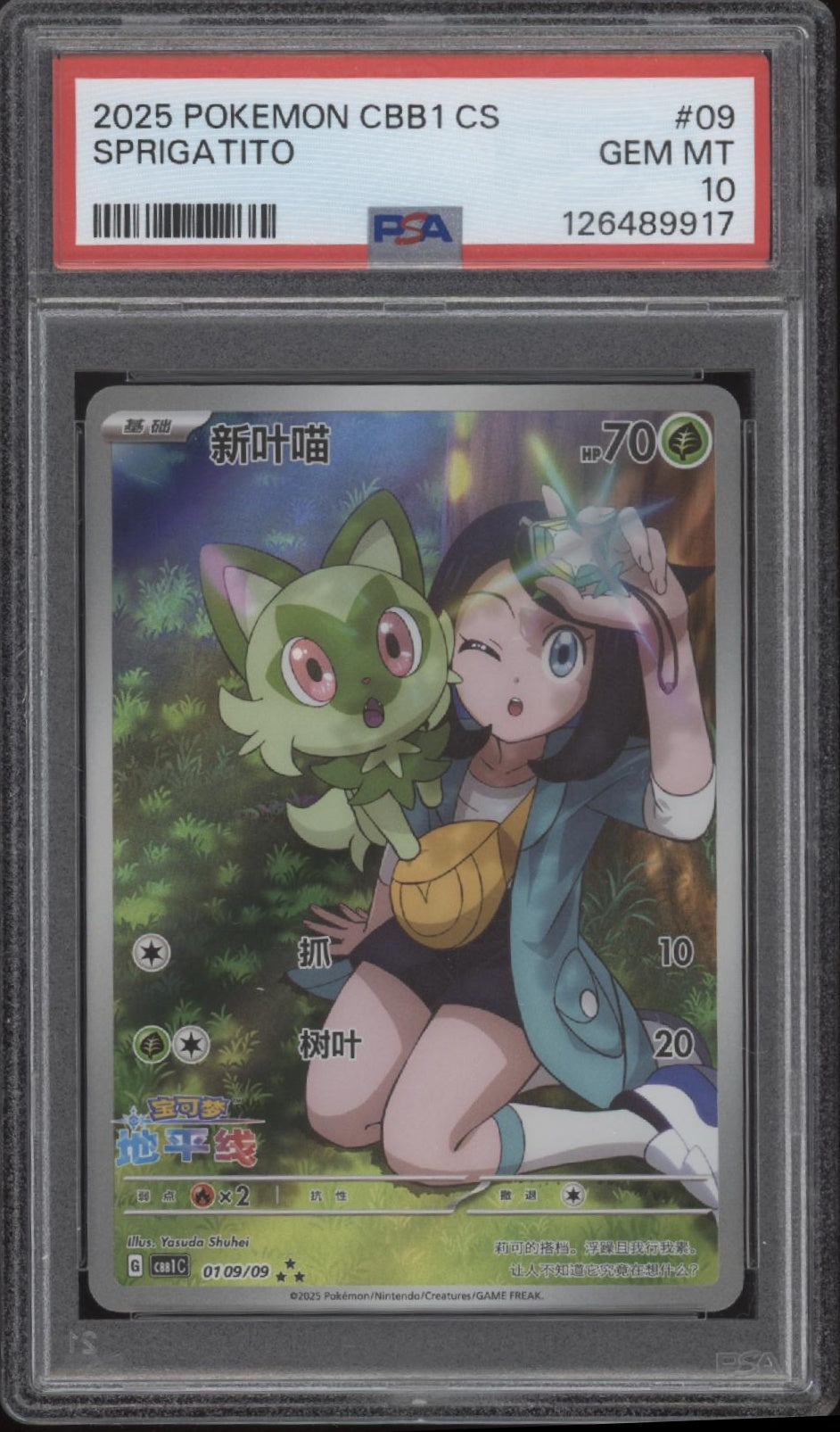 Sprigatito Pokemon CBB1 Chinese #09 PSA 10、Collector Store LLC Gaming、kayou