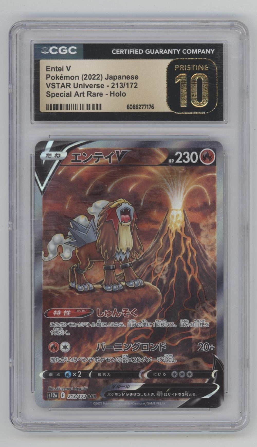 Entei V Pokemon VSTAR Universe Special Art Rare Holo JP #213 CGC 10 Pristine
