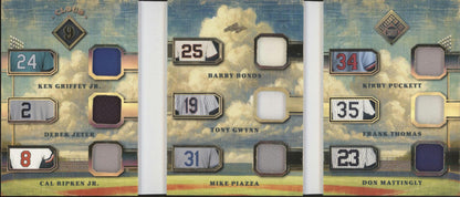 Cloud 9 2025 Leaf Seasons in the Sun Multi Swatch 16/20 #C9M-2