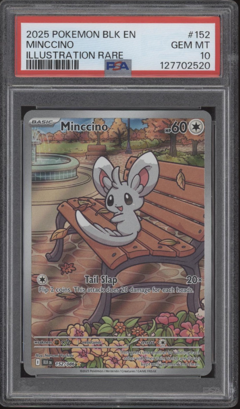 Minccino Pokemon Black Bolt Illustration Rare #152 PSA 10