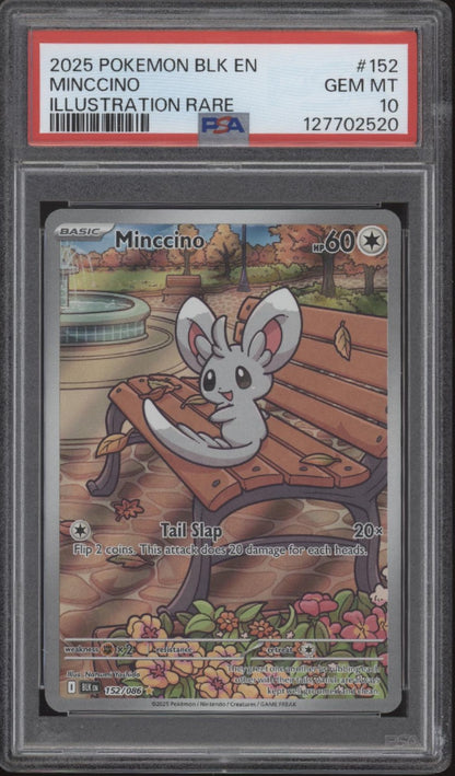 Minccino Pokemon Black Bolt Illustration Rare #152 PSA 10