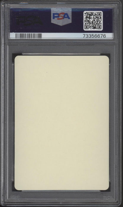 Let's Have Fun! Pokemon Spring Pokeka Sticker Japanese PSA 10