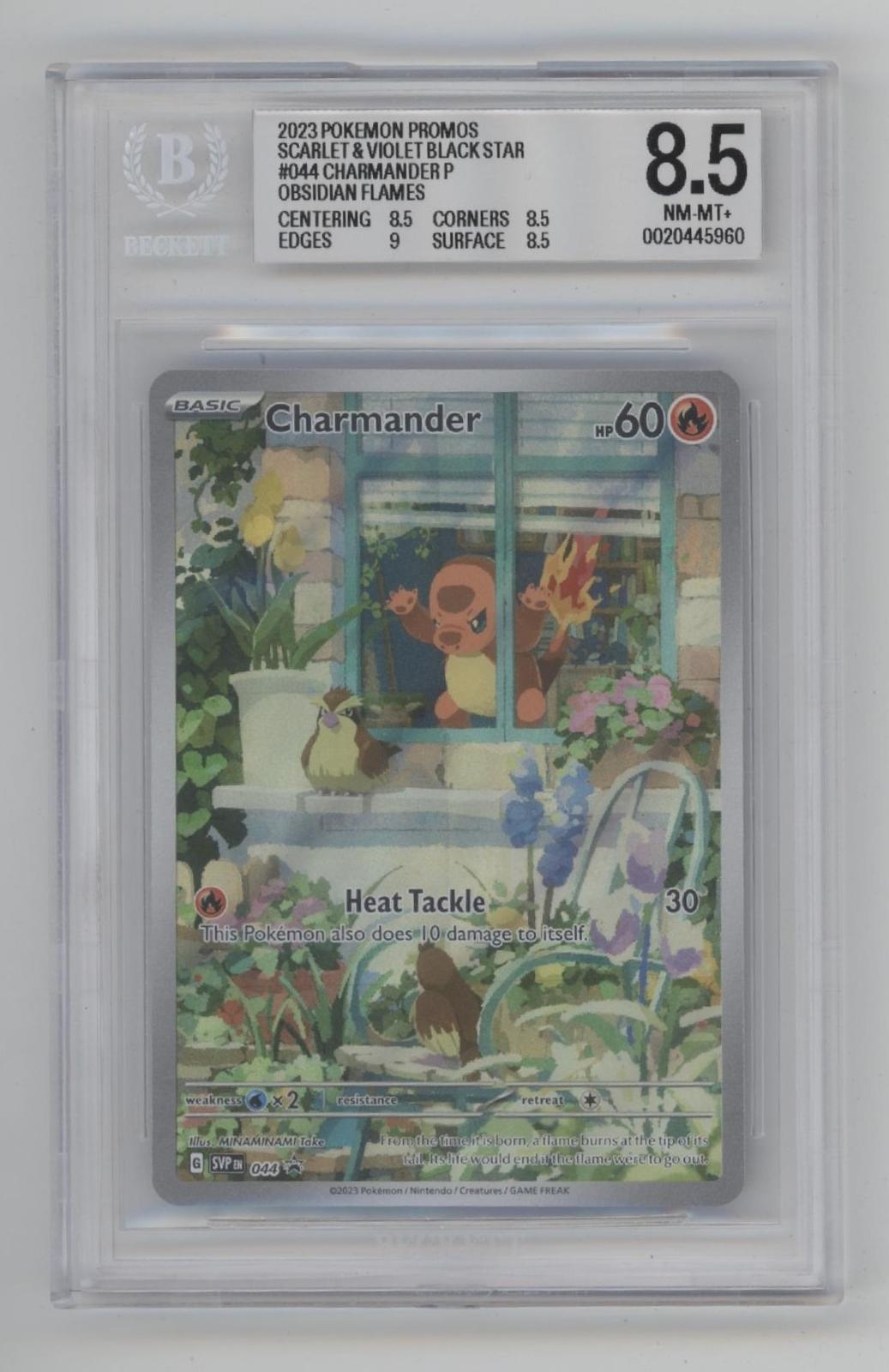 Charmander Pokemon Obsidian Flames Promo #044 Beckett 8.5 #1