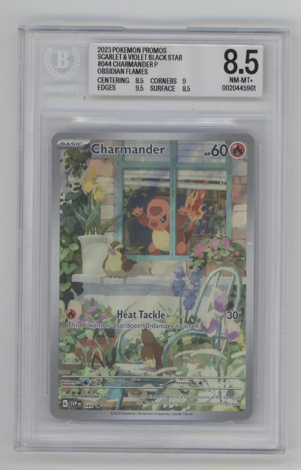 Charmander Pokemon Obsidian Flames Promo #044 Beckett 8.5 #2