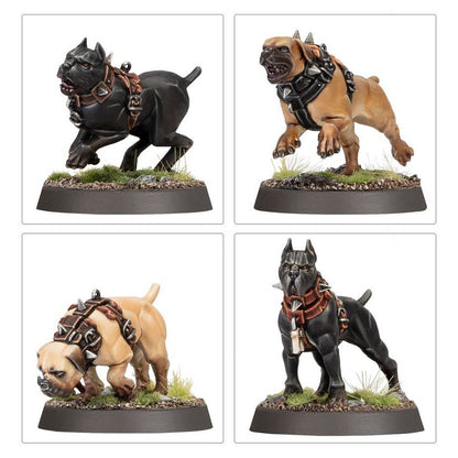 Warhammer Age of Sigmar: Cities of Sigmar - Ven Denst's Hounds