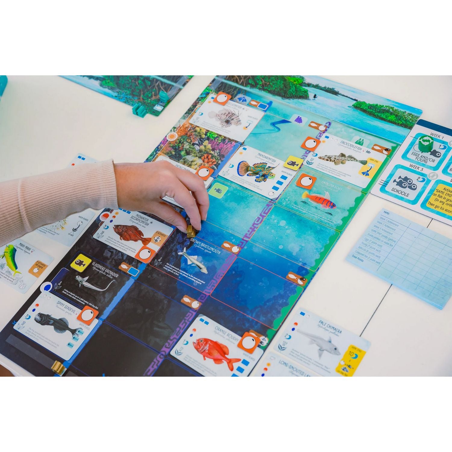 Finspan、Stonemaier Games、kayou