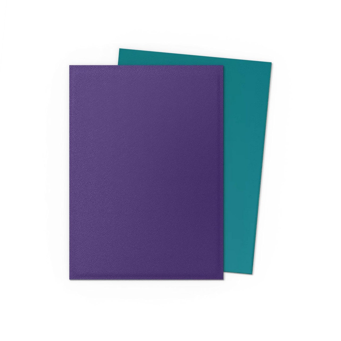 Dragon Shield 100ct Dual Matte Sleeves - Soul & Petrol