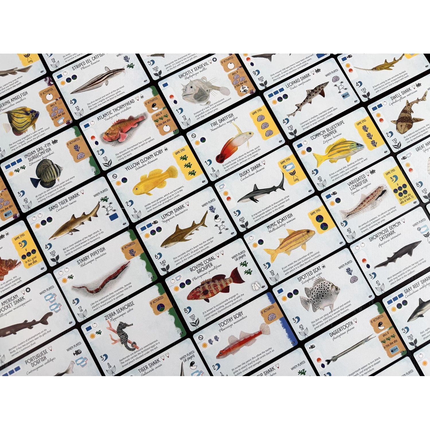 Finspan: Sharks & Reefs Expansion、Stonemaier Games、kayou