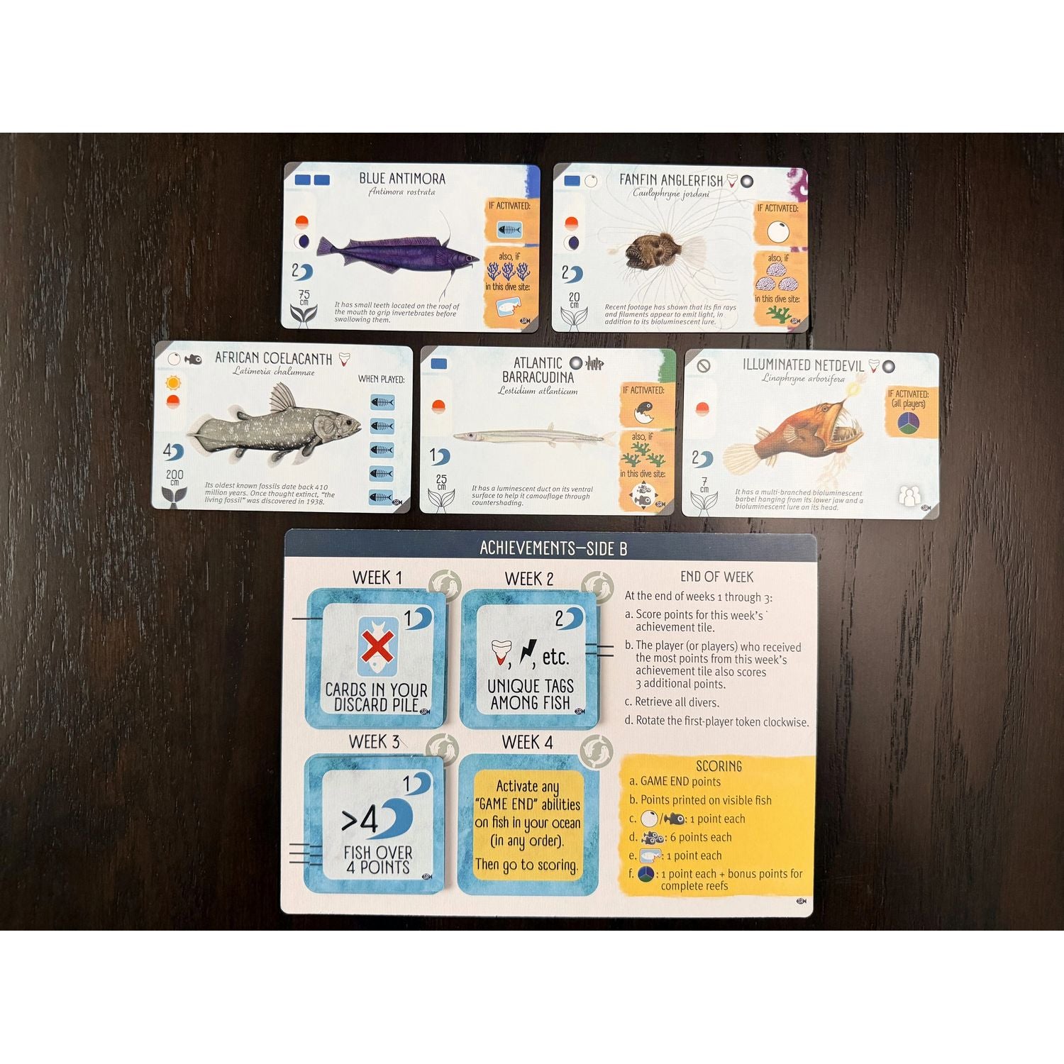Finspan: Sharks & Reefs Expansion、Stonemaier Games、kayou