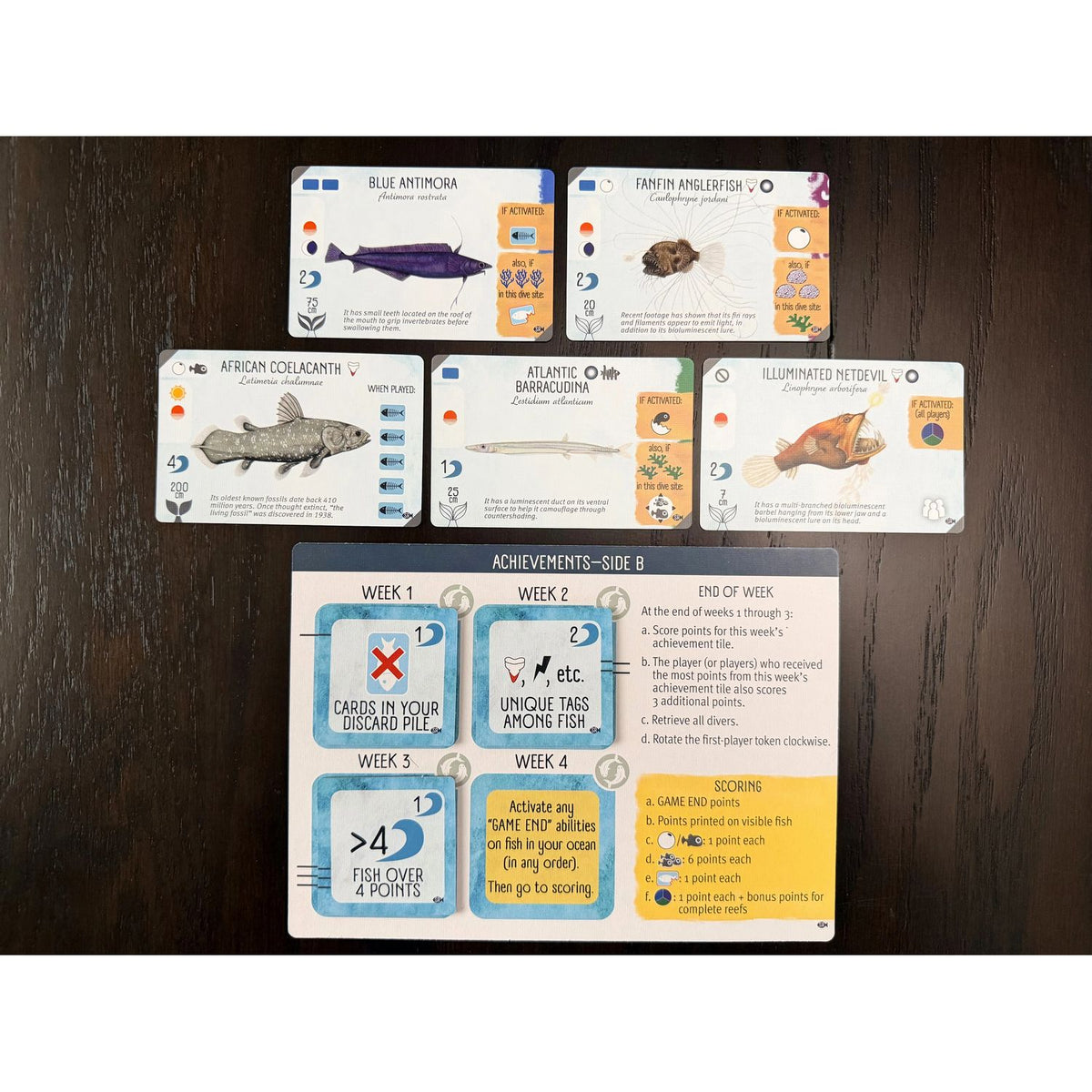 Finspan: Sharks & Reefs Expansion