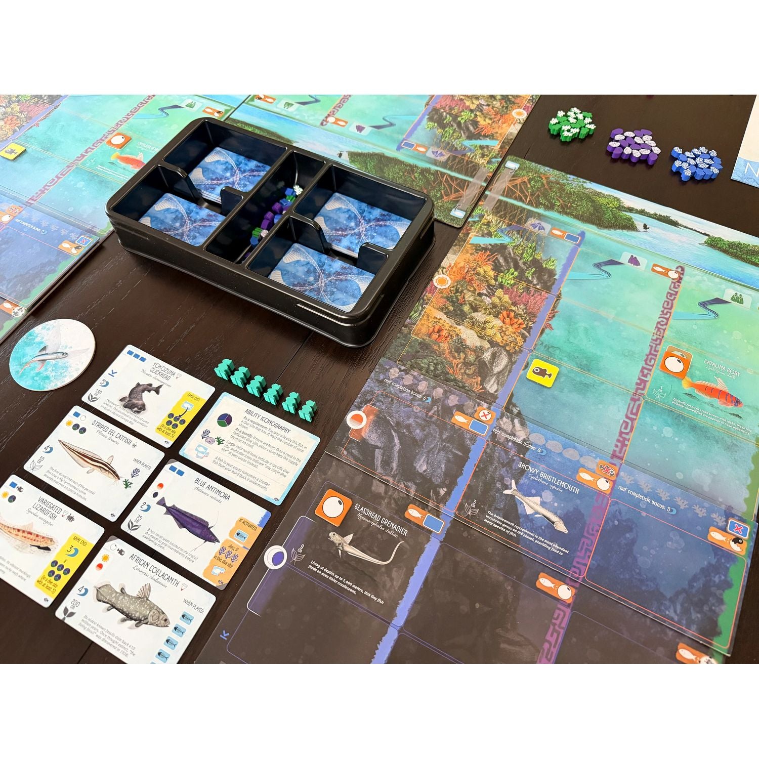 Finspan: Sharks & Reefs Expansion、Stonemaier Games、kayou