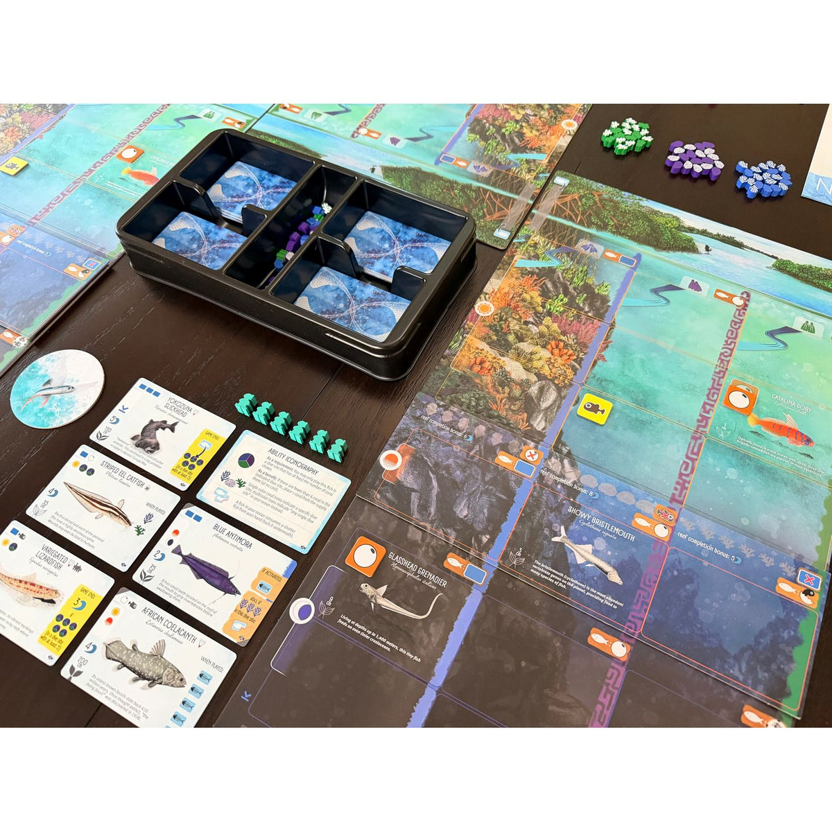 Finspan: Sharks & Reefs Expansion