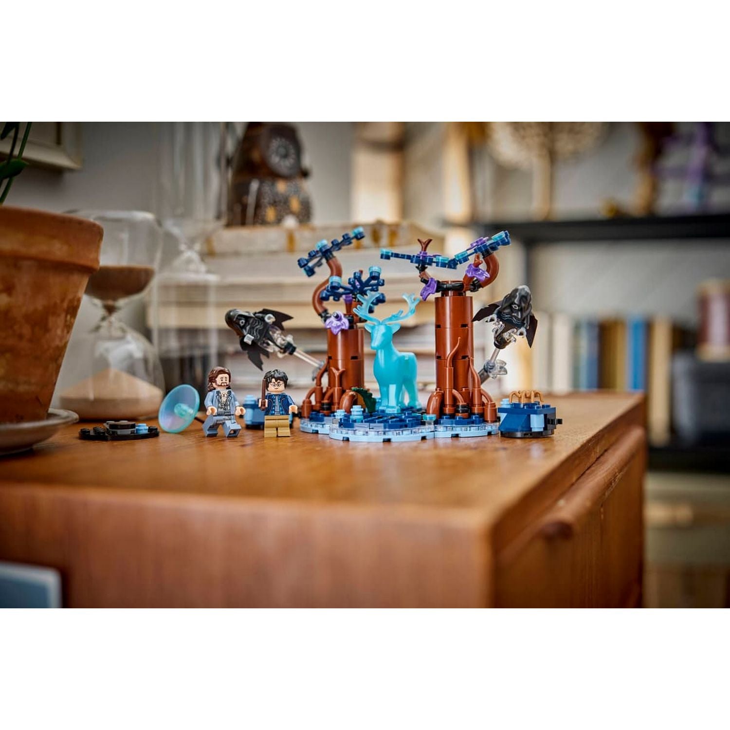 CollectorStore00006_86fdb7b7-