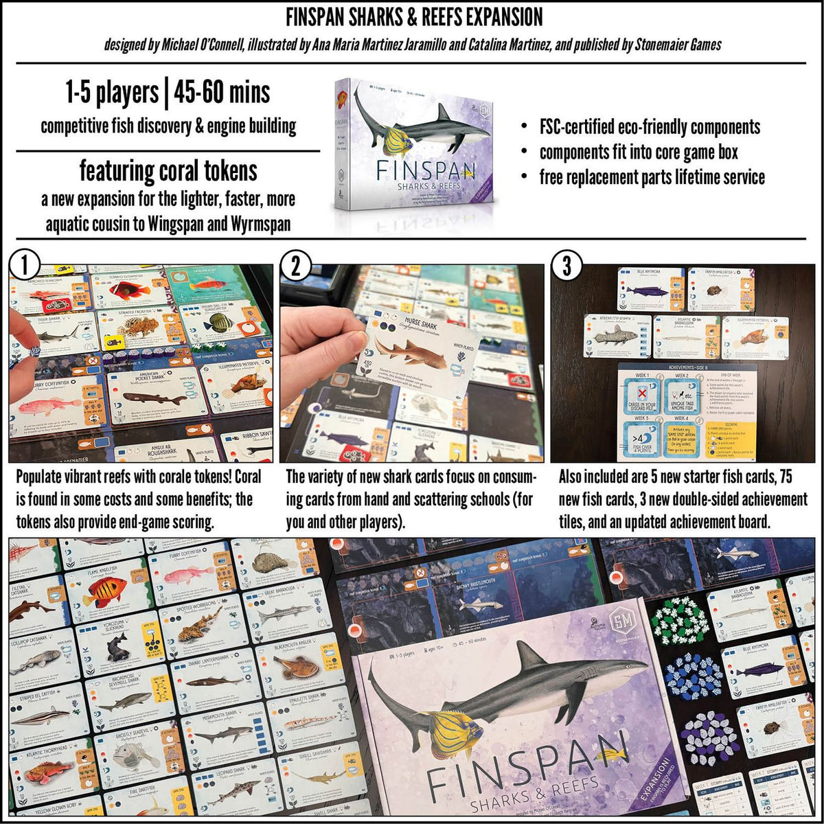 Finspan: Sharks & Reefs Expansion