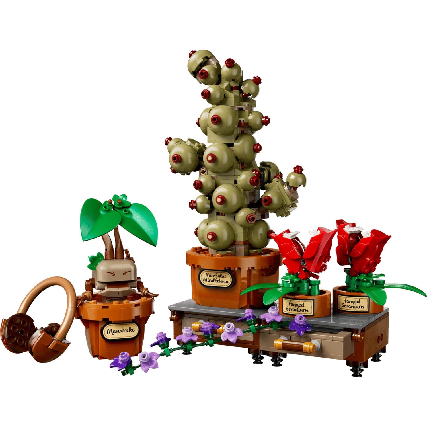 CollectorStore00007_f0b7cb1e-