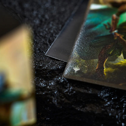 Dragon Shield: Legendary Series - 100ct Matte Dual Art Standard Sleeves (Lathril, Blade of Elves)