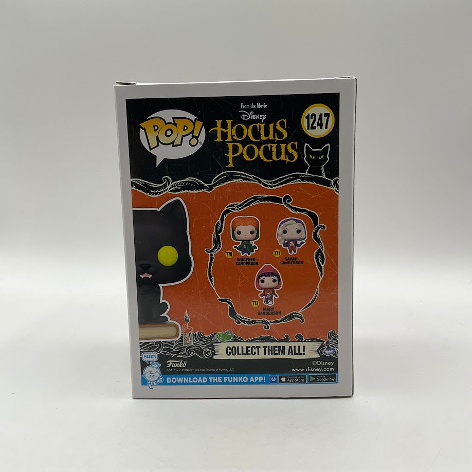 Thackery Binx Funko Pop! Hocus Pocus #1247 Funko Exclusive