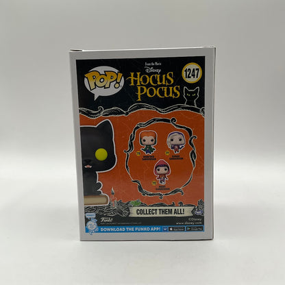 Thackery Binx Funko Pop! Hocus Pocus #1247 Funko Exclusive