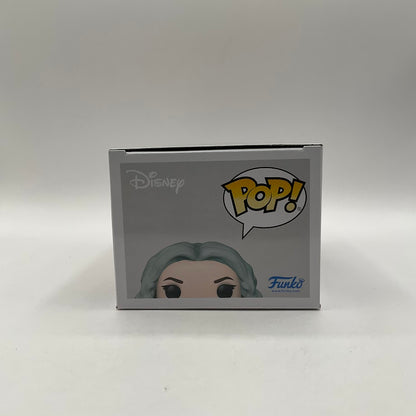 The Witch Mother Funko Pop! Hocus Pocus 2 #1375 Funko Exclusive