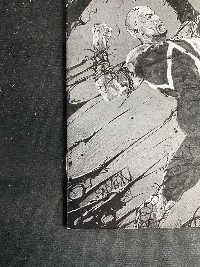 Spawn (1992 Image) #283D、Collector Store LLC - Comics、kayou