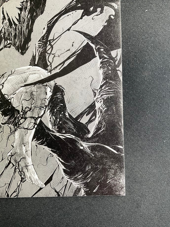 Spawn (1992 Image) #283D、Collector Store LLC - Comics、kayou