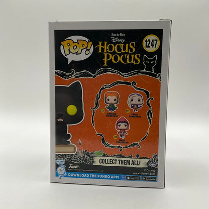 Thackery Binx Funko Pop! Hocus Pocus #1247 Funko Exclusive