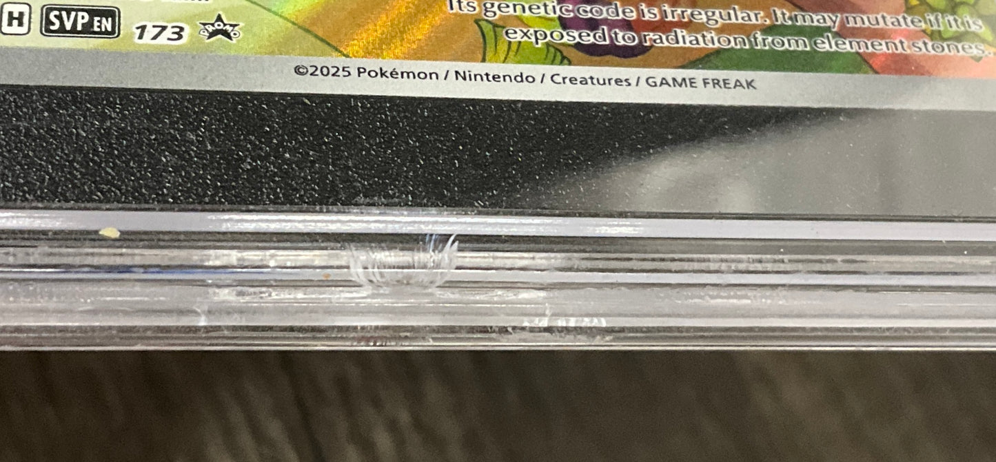 Eevee Pokemon Prismatic Evolutions Elite Trainer Box Promo #173 SGC 9.5
