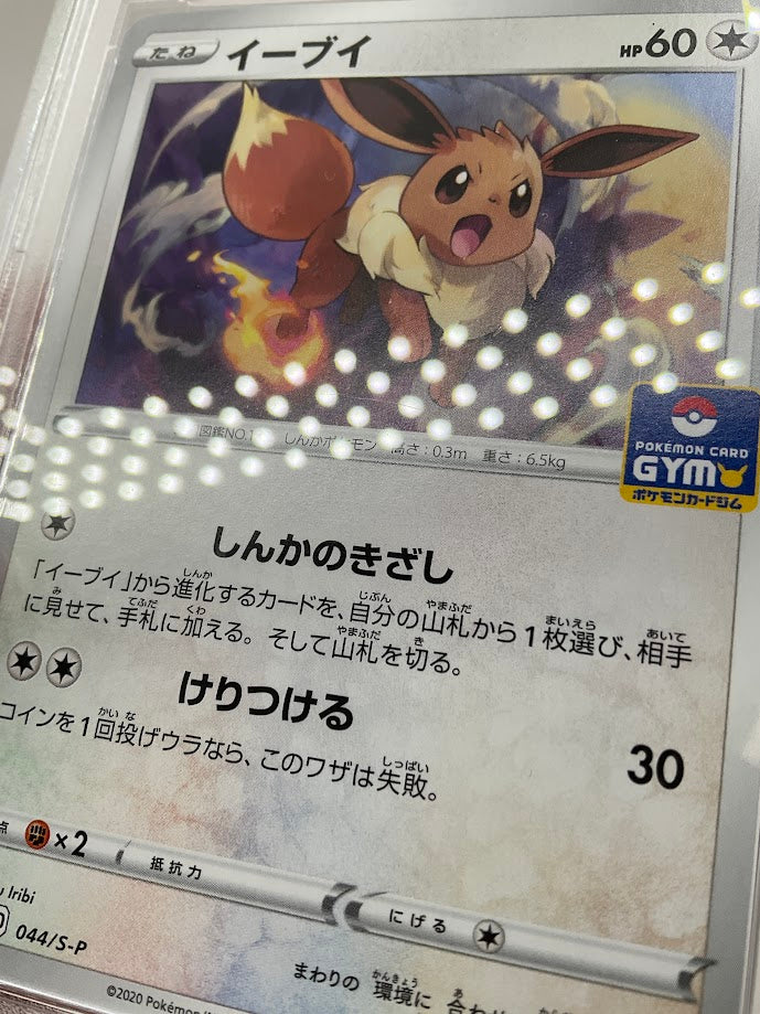Eevee Pokemon Card Gym Japanese #044 PSA 10