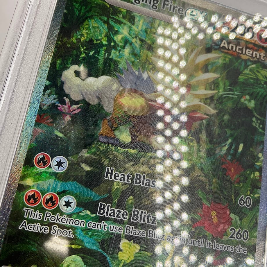 Gouging Fire ex Pokemon Temporal Forces Special Illustration Rare #204 PSA 9 #2