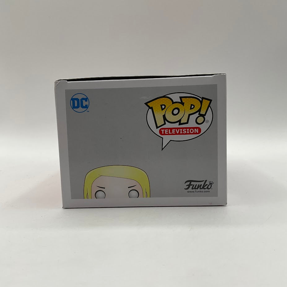 Terra Funko Pop! Teen Titans Go! #455 Toys R Us Exclusive