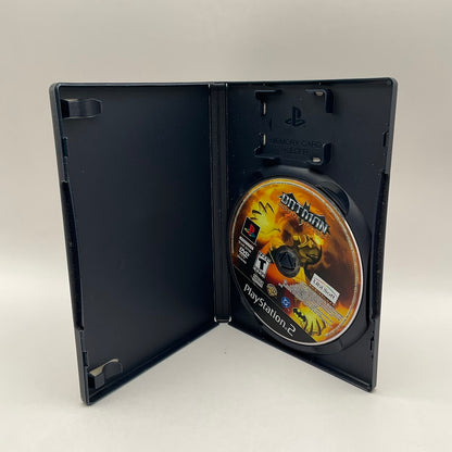 Batman Rise of Sin Tzu Playstation 2 Used