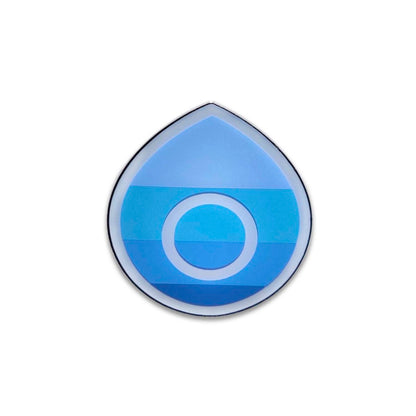 Pokemon: Champion's Path Pin Collection [Hulbury Gym]