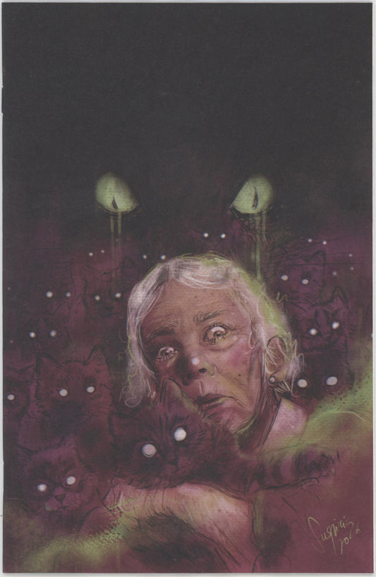 Stuff Of Nightmares: The Cat In The Coffin #1 F 1 in 10 Variant Edition (Full Art, Vilchez)