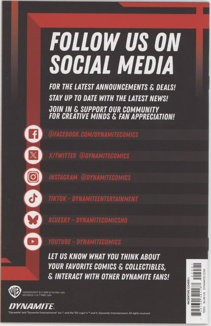 Thundercats #22 Cover I 1 in 10 Drew Moss Full Art Variant