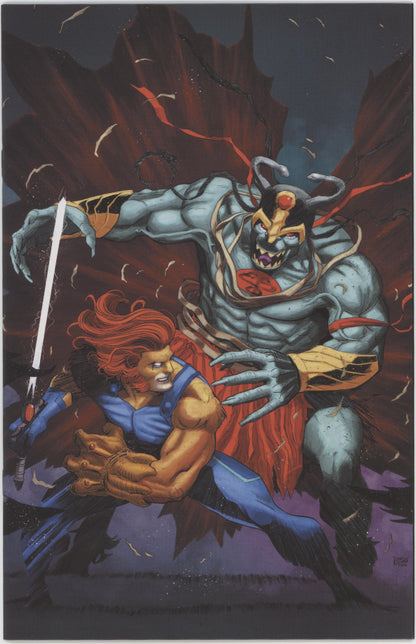 Thundercats #22 Cover I 1 in 10 Drew Moss Full Art Variant