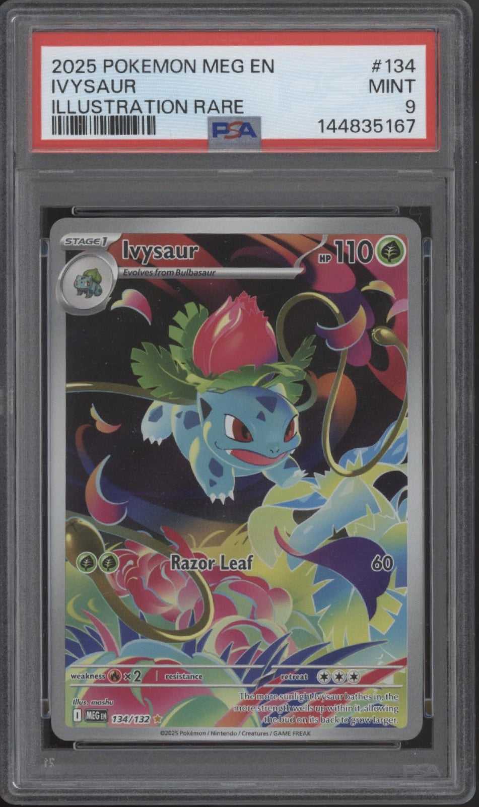 Ivysaur Pokemon Mega Evolution Illustration Rare #134 PSA 9