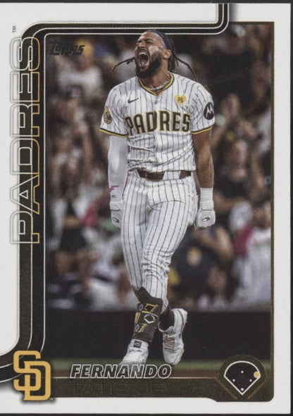 Fernando Tatis Jr. Baseball Lot of 10