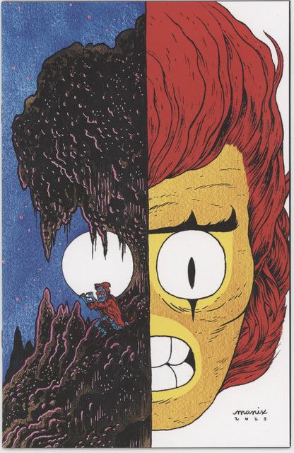 Thundercats #23 Cover H 1 in 10 Manix Full Art Variant