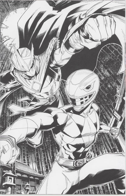 Mighty Morphin Power Rangers/Teenage Mutant Ninja Turtles III #2 E 1 in 10 Variant Edition (Full Art, Zonno)