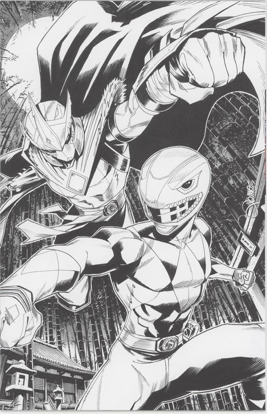 Mighty Morphin Power Rangers/Teenage Mutant Ninja Turtles III #2 E 1 in 10 Variant Edition (Full Art, Zonno)