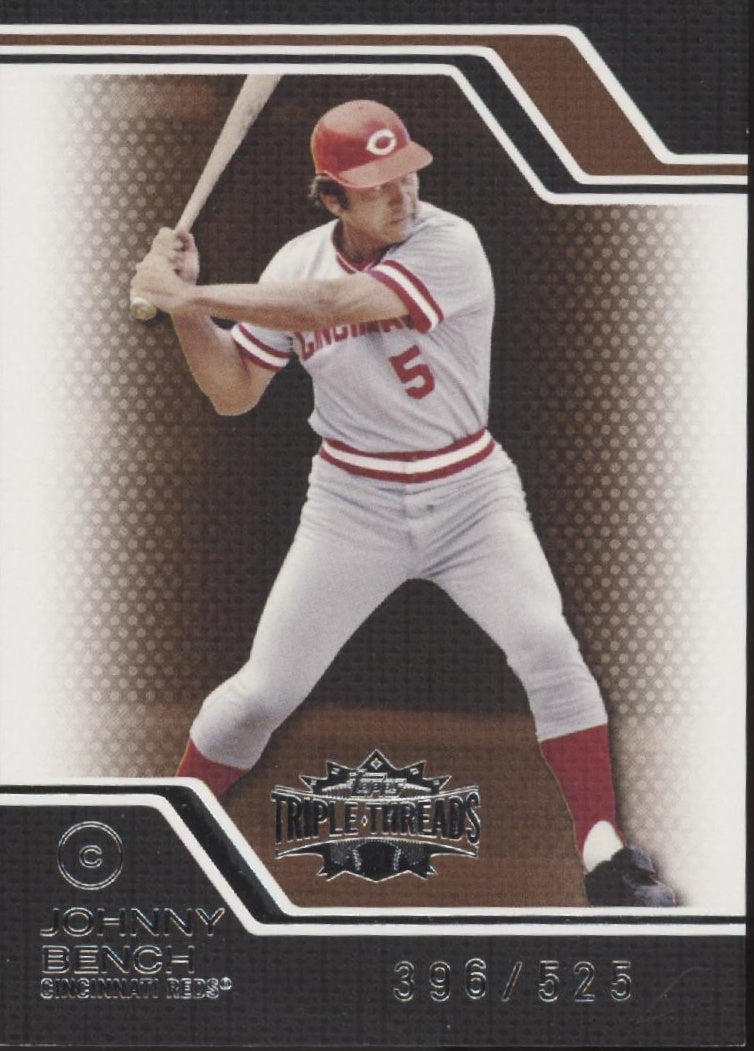 Johnny Bench Baseball Lot of 10