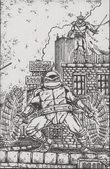 Teenage Mutant Ninja Turtles #23RIA (10) (Eastman & Bishop Black & White Full Art)